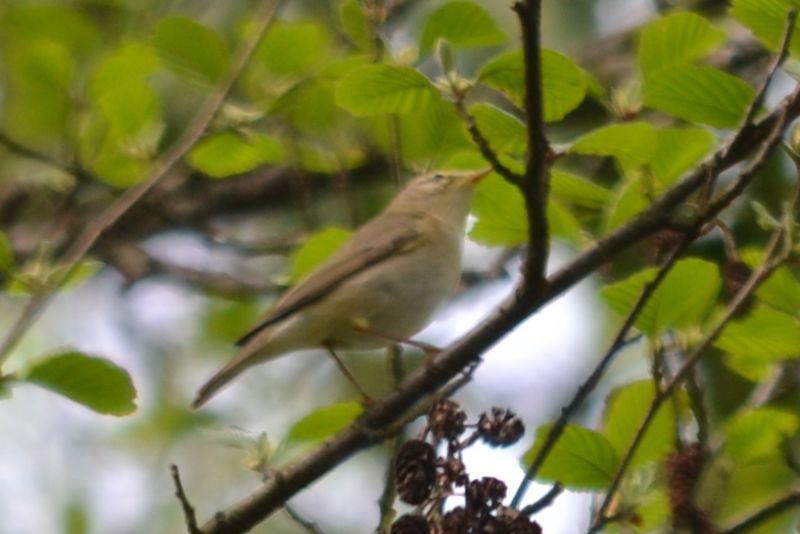 sono tutti lu� piccoli?